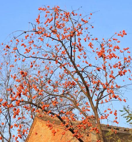 bf7301f92b03d6308fb14563bc881675